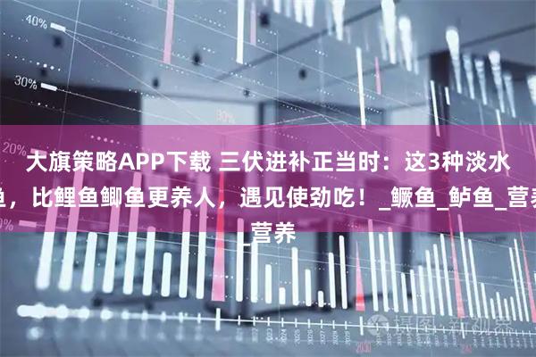 大旗策略APP下载 三伏进补正当时：这3种淡水鱼，比鲤鱼鲫鱼更养人，遇见使劲吃！_鳜鱼_鲈鱼_营养