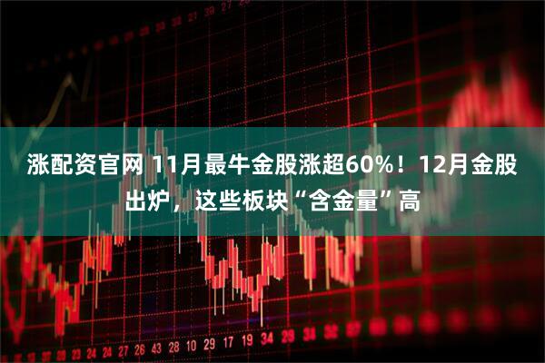 涨配资官网 11月最牛金股涨超60%！12月金股出炉，这些板块“含金量”高