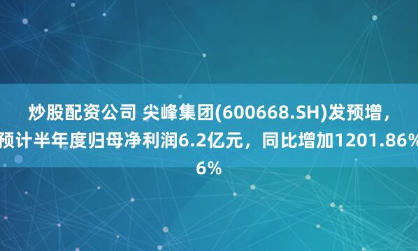 炒股配资公司 尖峰集团(600668.SH)发预增，预计半年度归母净利润6.2亿元，同比增加1201.86%
